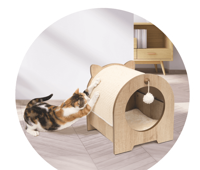 prospekt februar prospekteinstieg s2 alles fur die katze 680x579 prospekt februar prospekteinstieg s2 alles fur die katze 680x579